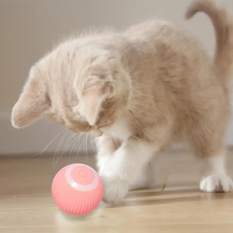Interactive Smart Cat Ball Toy (free shipping)